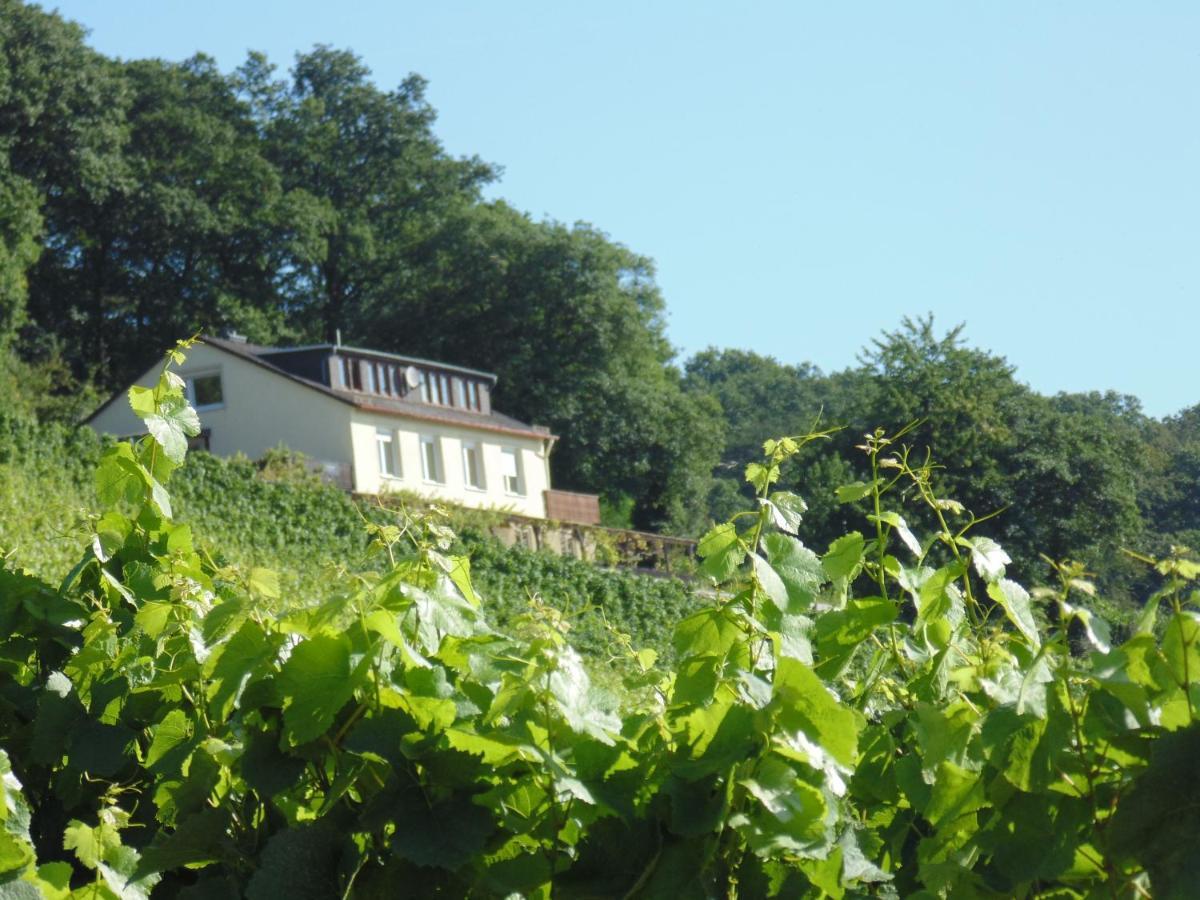 Das Rebenhaus Rüdesheim am Rhein Extérieur photo