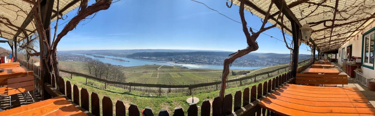 Das Rebenhaus Rüdesheim am Rhein Extérieur photo