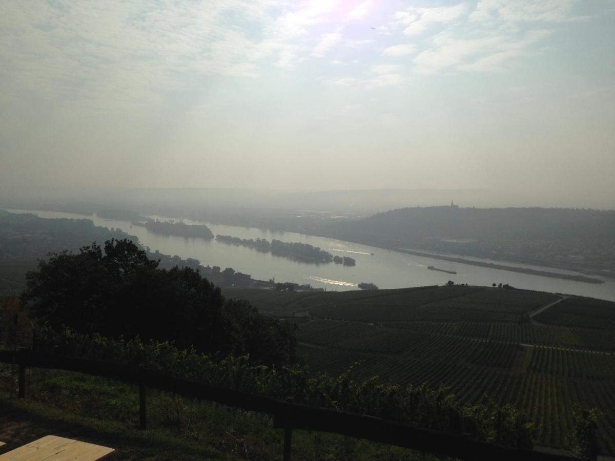 Das Rebenhaus Rüdesheim am Rhein Extérieur photo