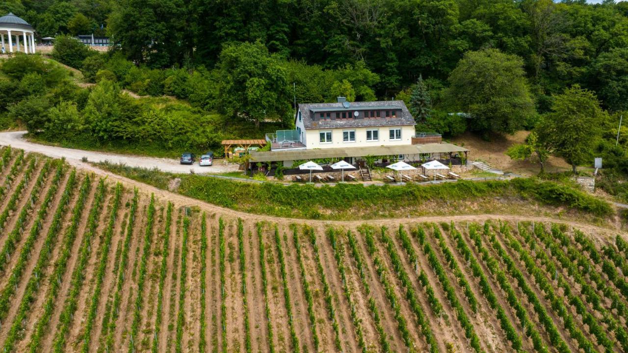 Das Rebenhaus Rüdesheim am Rhein Extérieur photo