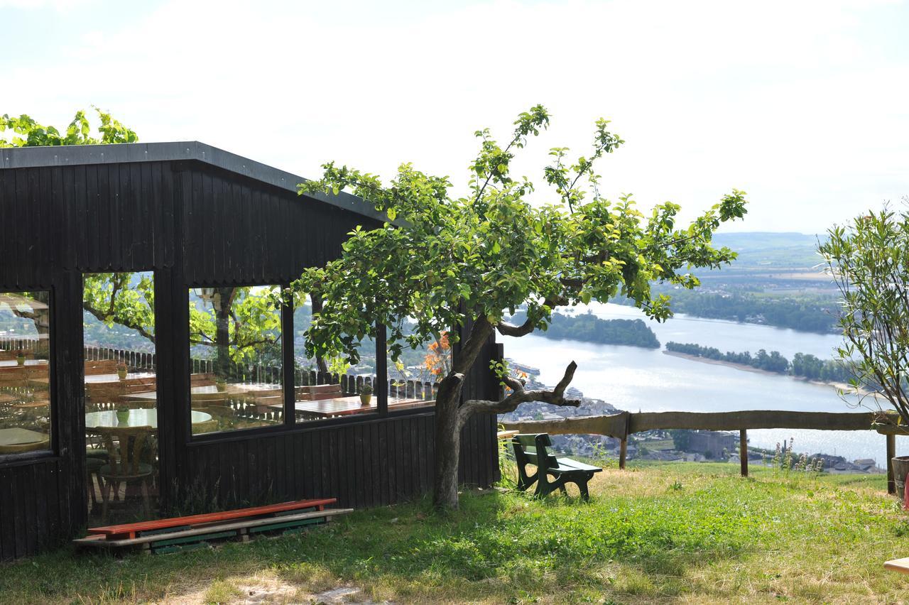 Das Rebenhaus Rüdesheim am Rhein Extérieur photo