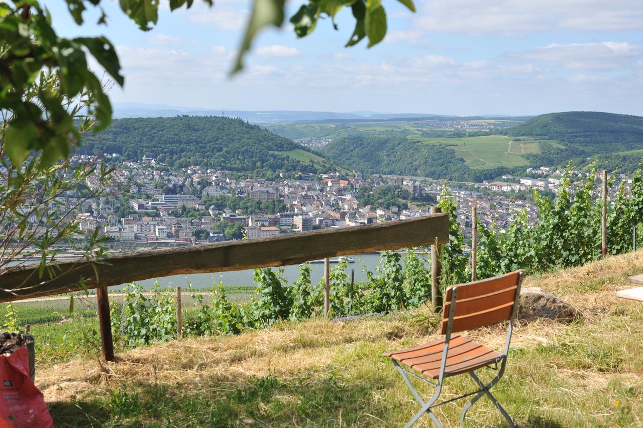 Das Rebenhaus Rüdesheim am Rhein Extérieur photo