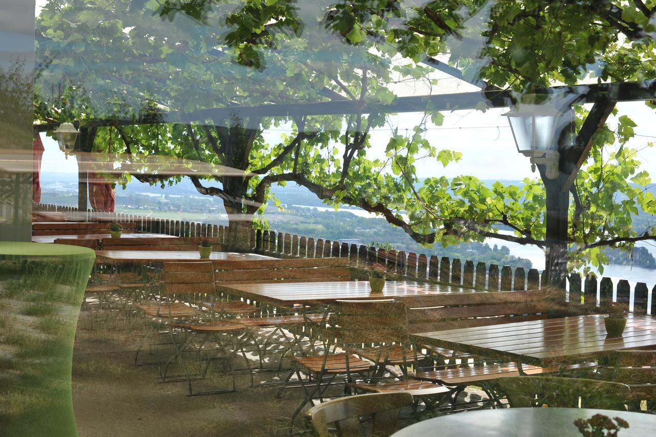 Das Rebenhaus Rüdesheim am Rhein Extérieur photo